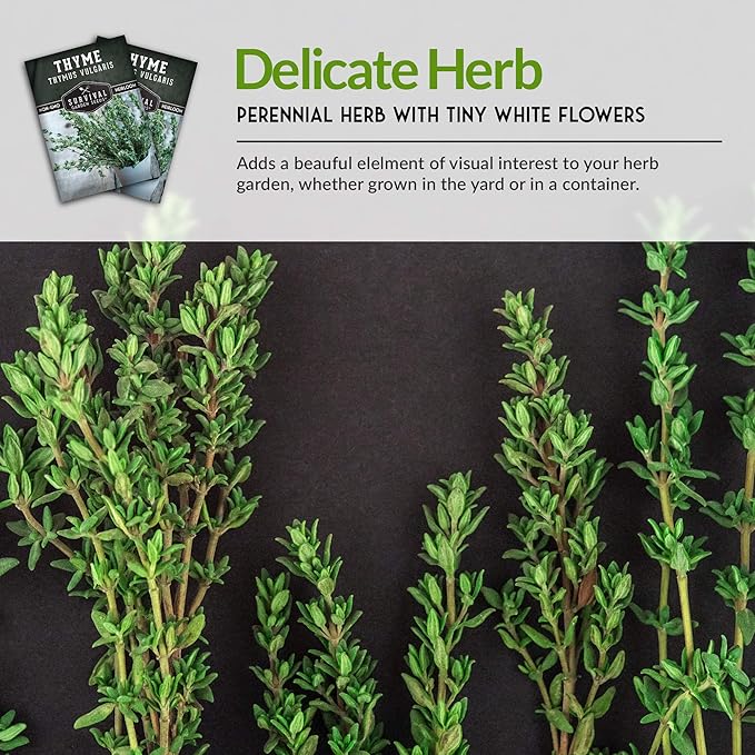 Survival Garden Seeds - Thyme Seed for Planting - Packet with Instructions to Plant and Grow Thymus Vulgaris Herb Plants in Your Home Vegetable Garden - Non-GMO Heirloom Variety - Edible Thyme Seeds