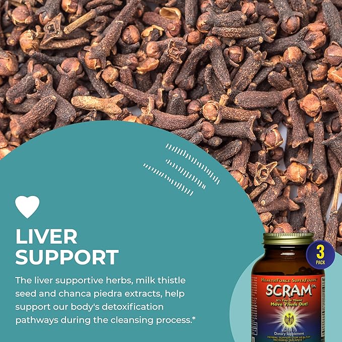 HealthForce SuperFoods Scram 150 Vegan 3)