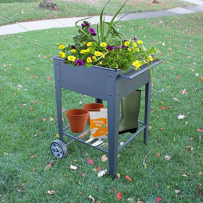 GarraÌ Raised Planter Box -Garden Cart with Wheels, Movable Square Outdoor Elevated Garden Bed with Wheels- Grow Vegetables Flowers Herbs on Patio, Deck, or Yard