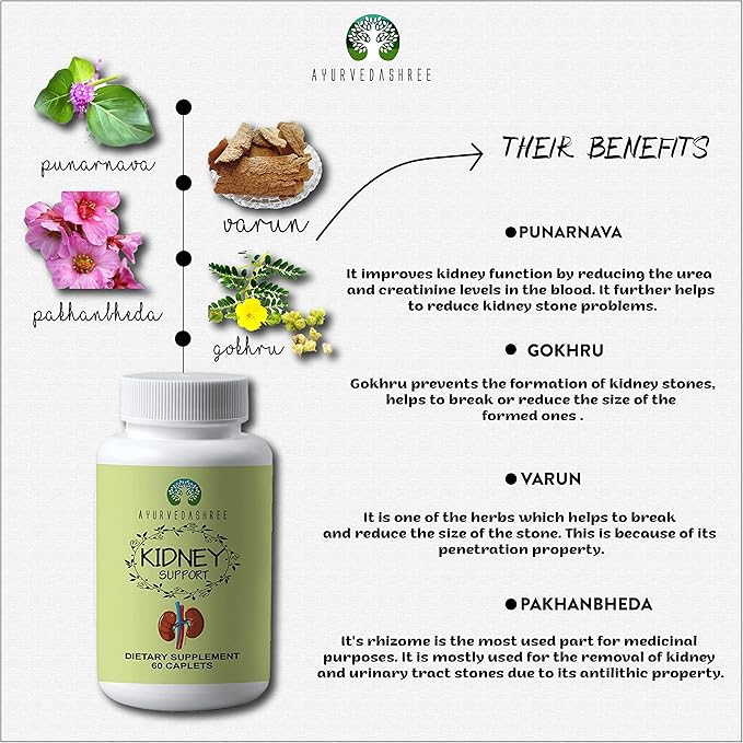 Kidney Support Herbal Supplement 1000 MG