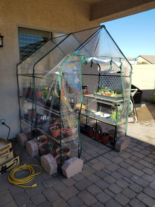Extend Your Growing Season with a Portable Mini Greenhouse
