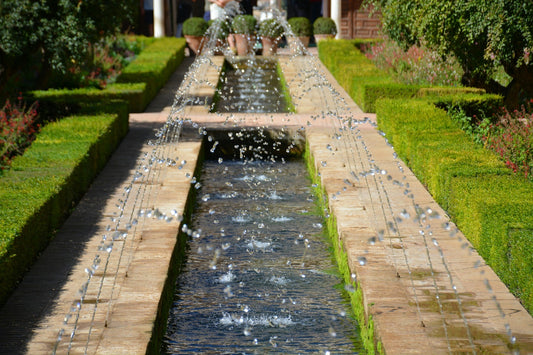 Elevate Your Gardening Game with the Self-Watering Planter