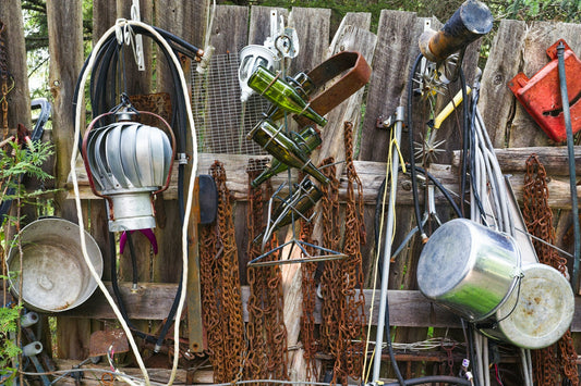 Transform your garden in 2025 with these 8 expert-recommended plants. Discover low-maintenance, eco-friendly choices that thrive year-round. Shop now for plants that bring beauty and joy to your home.