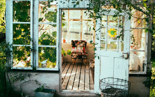 Backyard Makeover on a Budget: Transform Your Outdoor Space for Under $500