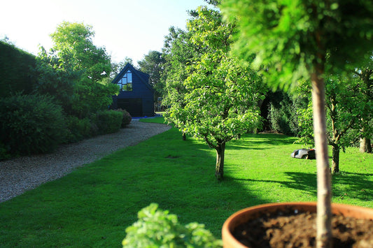 Eco-Friendly Gardening: Sustainable Practices for a Greener Home