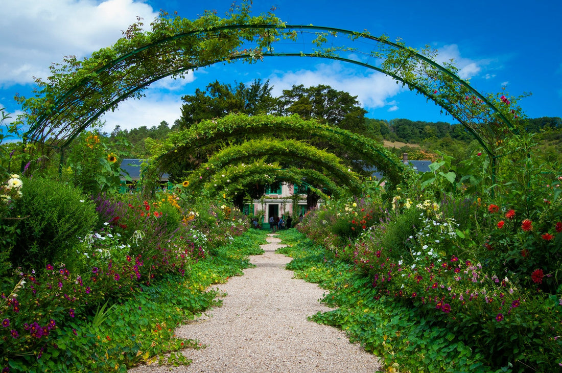 Transform your garden in 2025 with these 8 must-have plants. From year-round bloomers to low-maintenance greenery, discover how to create a vibrant, thriving outdoor space that’s easy to care for and stunning to look at. Shop premium garden plants today.