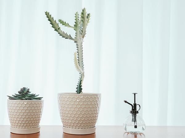 Docrin Ceramic Plant Pots Indoor: 6.6 + 5.5 Inch Planters with Drainage Holes and Saucer for Home/Office - Set of 2 /Milky White Honeycomb