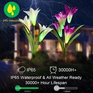 ANGMLN 6 Pack Solar Flowers Lights,24 Bigger Head Solar Lily Flowers, 7 Color Changing Pathway Lamps for Garden Patio Yard Party Wedding Holiday Outdoor Garden Stake Decoration (Purple2&White2&Pink2)