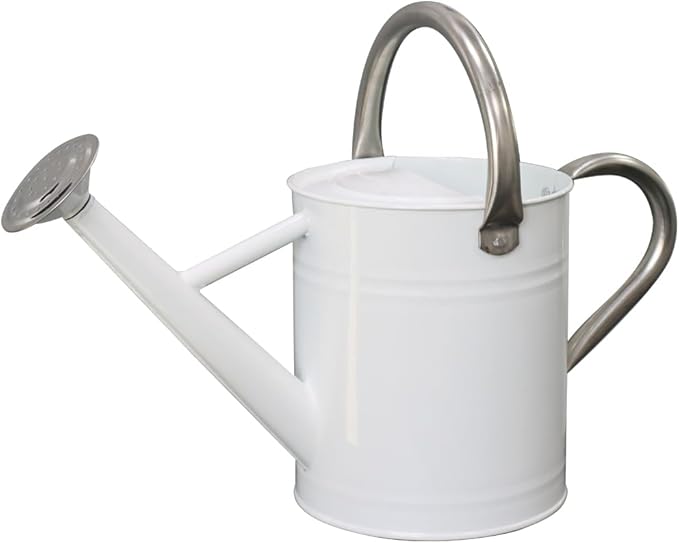 Metal Watering Can, One Gallon Watering Cans Stainless Steel for Outdoor Indoor Garden Plants Watering (White)