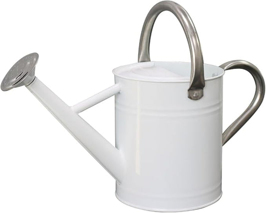 Metal Watering Can, One Gallon Watering Cans Stainless Steel for Outdoor Indoor Garden Plants Watering (White)