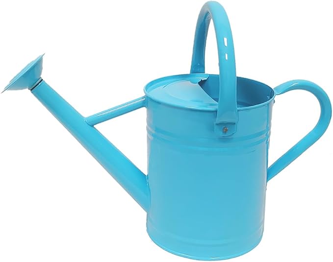 Metal Watering Can for Outdoor and Indoor Plants, Watering Can Decor, 1 Gallon (Blue)