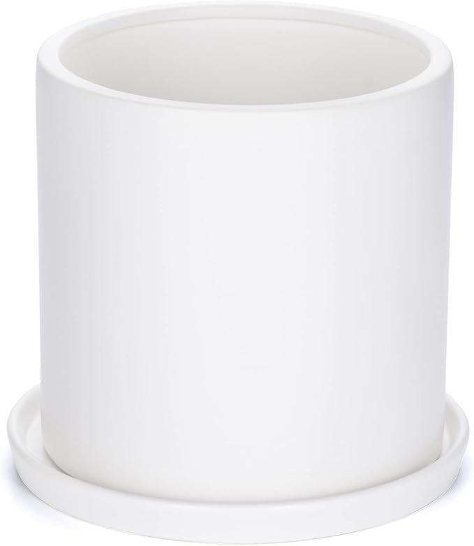 Plant Pots 10 Inch Ceramic Planter with Drainage Hole and Saucer, Matte White Modern Cylinder Planter Pot for Indoor Outdoor Plants Flowers, Full Glazed Finish