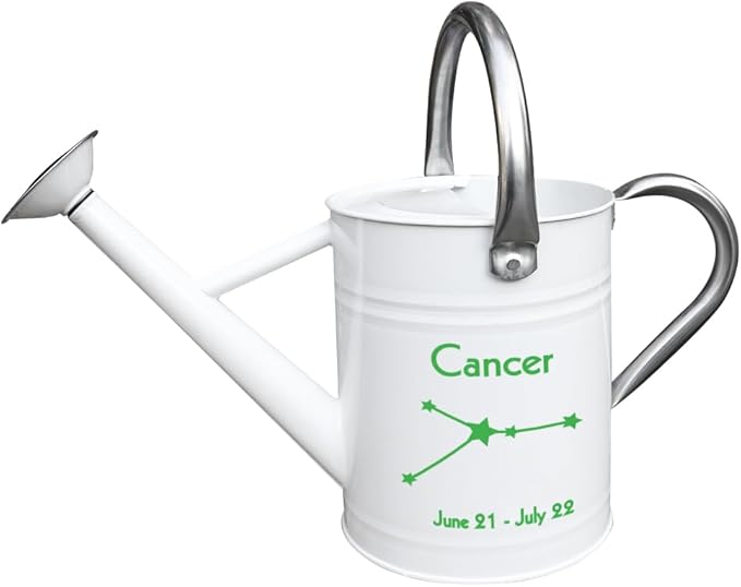 Metal Watering Can for Outdoor and Indoor Plants, Watering Can Decor, 1 Gallon (Cancer)