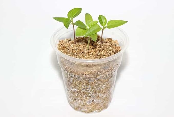 Half and Half Mix of Perlite and Vermiculite - 20 Quart - Unlock The Secret to Thriving Plants with a Natural Soil Amendment (4 Bags of 5 Quart)