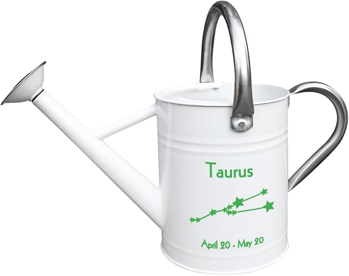 Metal Watering Can for Outdoor and Indoor Plants, Watering Can Decor, 1 Gallon (Taurus)