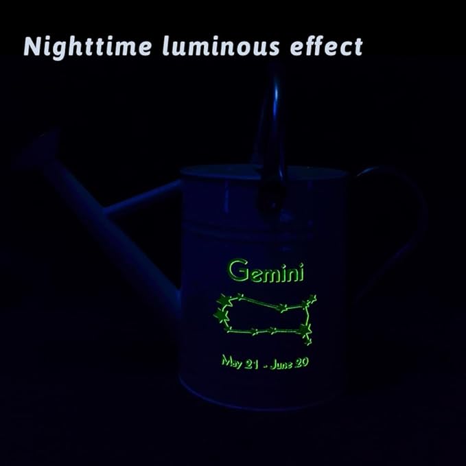 Metal Watering Can for Outdoor and Indoor Plants, Watering Can Decor, 1 Gallon (Gemini)