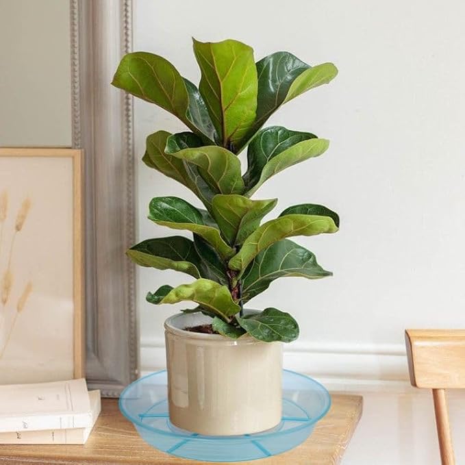 6 Pack Plant Saucer Drip Tray 14 inch, Large Plastic Plant Trays, Heavy Sturdy Plastic Planter Flower Pot Saucers for Indoor Outdoor Garden, Plant Water Drip Trays for pots (14", Blue)