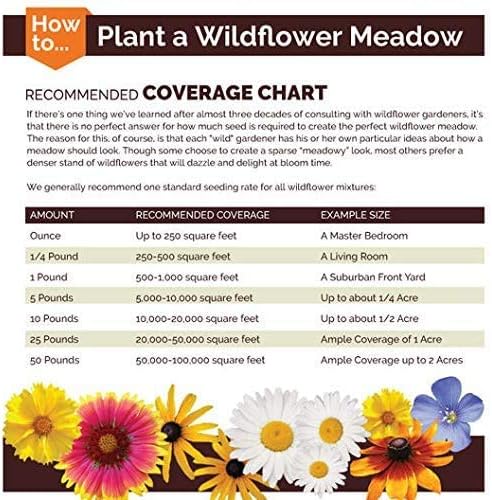 Non GMO Bulk Lupine Mix Flower Seed 7 Species of Wildflower Seeds (10 lbs)
