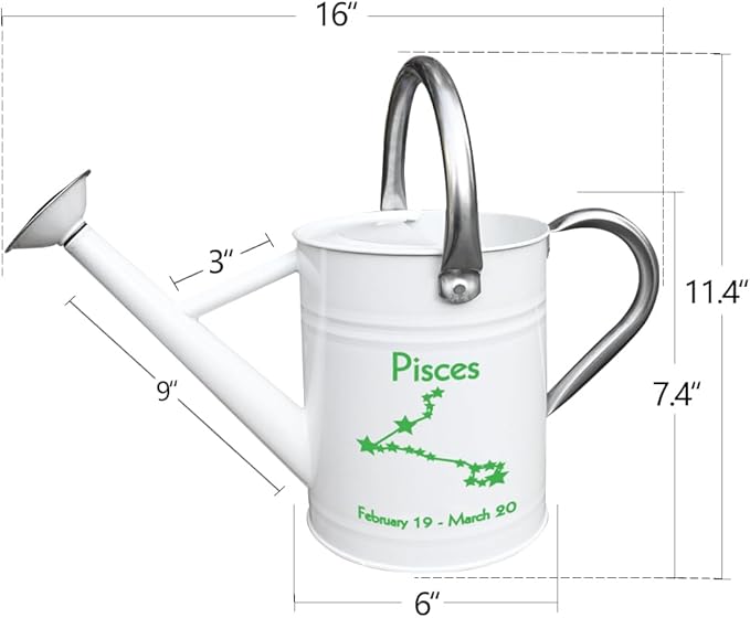 Metal Watering Can for Outdoor and Indoor Plants, Watering Can Decor, 1 Gallon (Pisces)