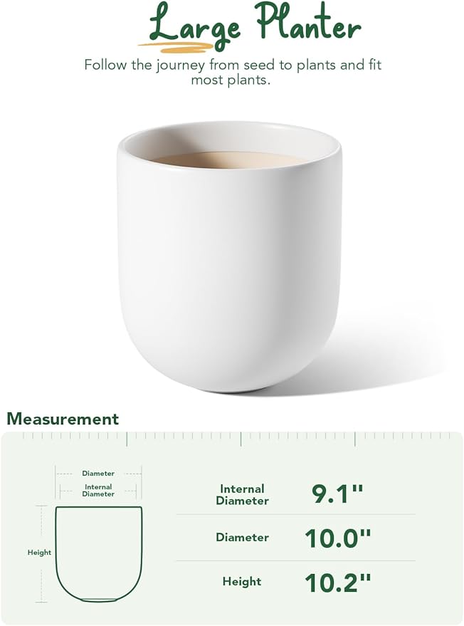 LE TAUCI 10 Inch Plant Pot, Ceramic Pots for Plants with Drainage Hole and Rubber Plug, Plant Pots Indoor for Olive Tree, Cylinder Planter Pot for Home Patio Office, White