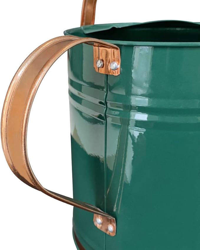 Metal Watering Can for Outdoor and Indoor Plants, Watering Can Decor, 1 Gallon (1 Gallon Green2)