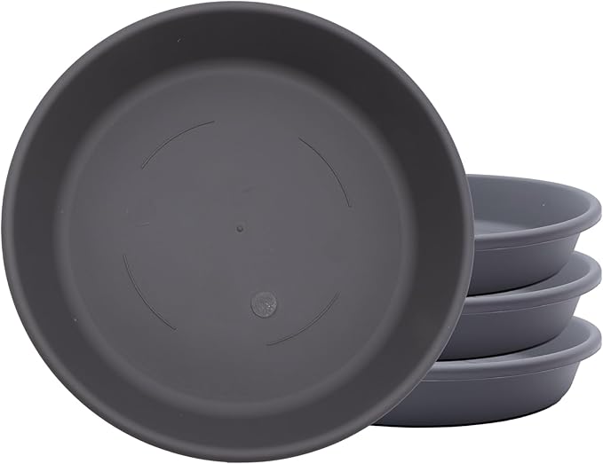 The HC Companies Flower Pot Saucers - Plastic Plant Saucer for Outdoors & Indoors - Traditional Design Plant Pot Trays for Water Drainage - Durable & Stylish Round Plant Tray (8-inch Warm Gray)