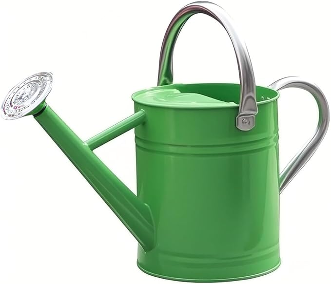 Metal Watering Can, One Gallon Watering Cans Stainless Steel for Outdoor Indoor Garden Plants Watering (Stainless Steel Handle Green)