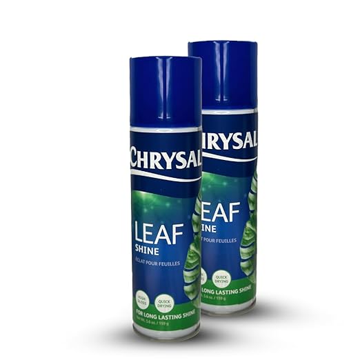 Chrysal Leaf Shine Spray for Indoor Plants – Flower Arrangement Spray for Flower Bouquets, House Plants, & More – Environmentally Safe Plant Cleaner Removes Dust – Flower & Gardening Supplies (2 Pack)