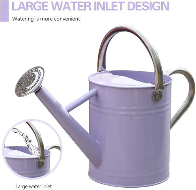 Metal Watering Can, One Gallon Watering Cans Stainless Steel for Outdoor Indoor Garden Plants Watering (Stainless Steel Handle Purple)