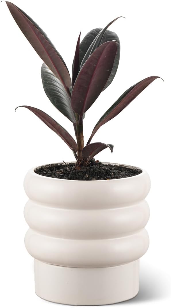 Bubble Ceramic Plant Pots with Drainage Holes and Saucers,6 inch Medium Flower Pots Modern Decor Planter for Indoor Plants(White)