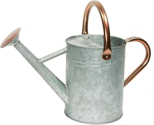 Metal Watering Can, One Gallon Watering Cans Stainless Steel for Outdoor Indoor Garden Plants Watering (Zinc 1 Gallon)
