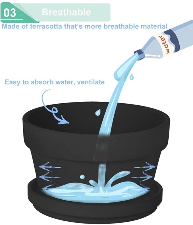 vensovo 3.7 Inch Black Terracotta Shallow Succulent Pots - 6 Pack Terra Cotta Clay Pot with Saucer, Cacuts Indoor and Outdoor Planters with Drainage Hole