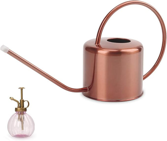 Remiawy Watering Can Indoor Outdoor Stainless Steel Watering Cans for House Plants Long Spout Water Can for Succulent Bonsai Garden Flower(40oz/1300ml)