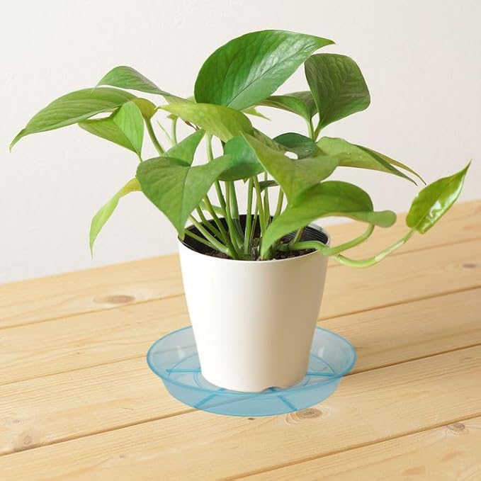 6 Pack Plant Saucer Drip Tray 11 12 inch, Pot Base for Plants Indoor, Heavy Sturdy Plastic Planter Flower Pot Saucers for Outdoor Garden, Plant Water Drip Trays for pots (12", Blue)