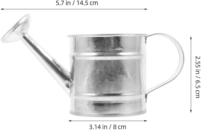 Mini Watering Can: 5pcs Kids Small Watering Can, Metal for Indoor Outdoor Plants, Children Iron for Garden Yard Home Plants Flower