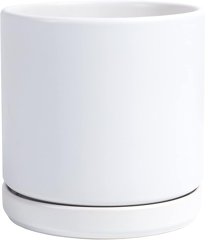 D'vine Dev 6 Inch Ceramic Planter Pot with Drainage Hole and Saucer, Indoor Cylinder Round Flower Pot, White, 94-O-C-1