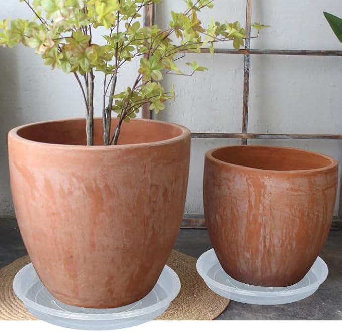 Plant Saucer 6 Pack of 4 6 8 10 12 14 16 inch, Clear Plastic Flower Plant Pot Saucer, Heavy Duty Plant Drip Trays Saucers for Indoor, Plant Water Tray for Planters (4", Clear)