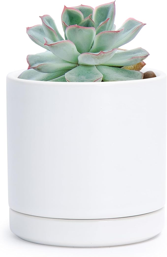 D'vine Dev 3.5 Inch Ceramic Planter Pot with Drainage Hole and Saucer, Indoor Cylinder Round Planter Pot, White, 94-O-A-1