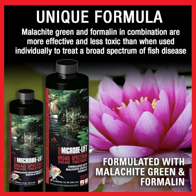 MICROBE-LIFT BSDT16 Broad Spectrum Disease Treatment for Ponds and Outdoor Water Garden, Safe for Live Koi Fish, Goldfish, Plants, and Decor, 16 Ounces