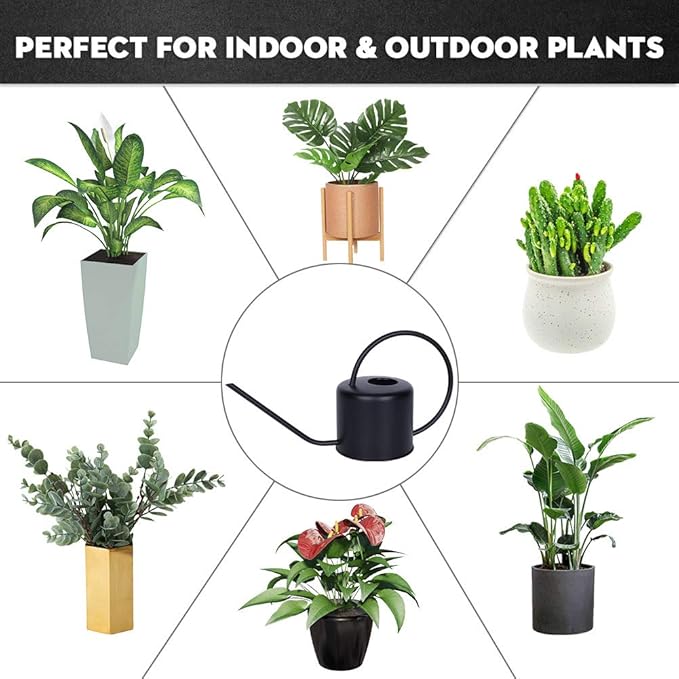 Remiawy Watering Can Indoor Outdoor Stainless Steel Watering Cans for House Plants Long Spout Water Can for Succulent Bonsai Garden Flower(40oz/1300ml)