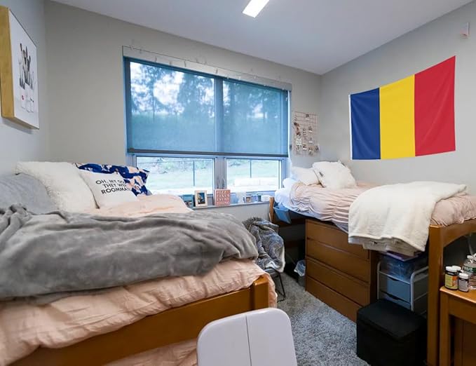 Romania Flag 2x3FT Romanian National Polyester Banner With 2 Grommets Fade Resistant Vivid Color For Patriotic Festival Events Party Decoration (Romania, 2x3FT)