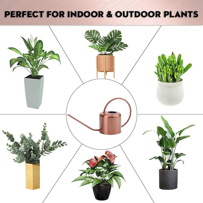 Remiawy Watering Can Indoor Outdoor Stainless Steel Watering Cans for House Plants Long Spout Water Can for Succulent Bonsai Garden Flower(40oz/1300ml)