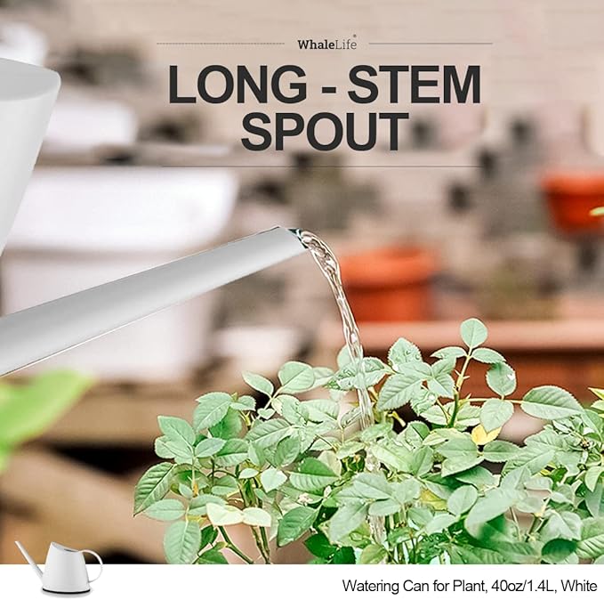 WhaleLife Indoor Watering Can for House Bonsai Plants (1.4L, White)