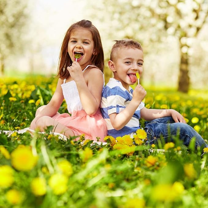 Immune Soothie Honey Lollipops with herbal (12 Lollipops)