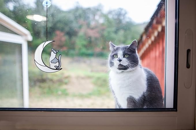 Gray and White Cat Memorial Gifts Loss of Cat British Shorthair Stained Glass Cat Suncatcher Cat Died Sympathy Gifts for Cat Lovers Cat Loss Sympathy Gift