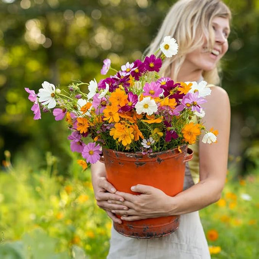 Eden Brothers Crazy for Cosmos Flower Mixed Seeds for Planting, 1 lb, 480,000+ Seeds with Cosmos Gloria, Pinkie, Purity | Attracts Pollinators, Plant in Spring or Fall, Zones 3, 4, 5, 6, 7, 8, 9, 10