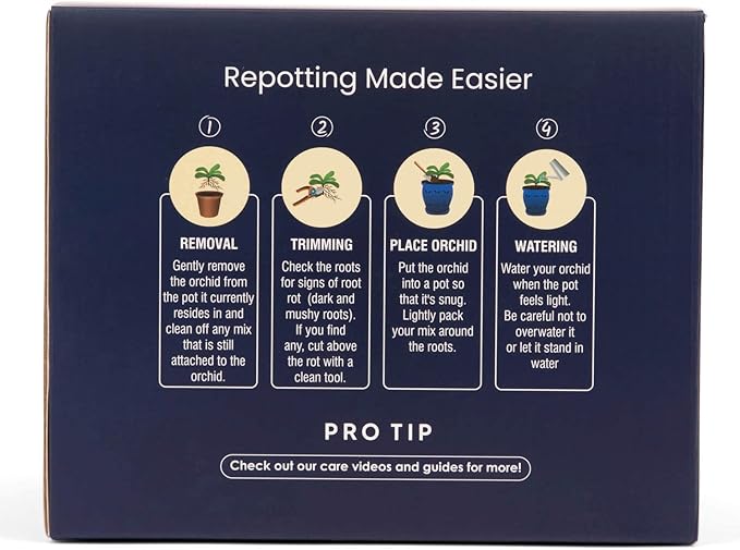 rePotme 6" Pinwheel Fluted Ceramic Plant Pot (Honey Cream Over Copper) - Great for Orchids, Succulents, and All Indoor Plants