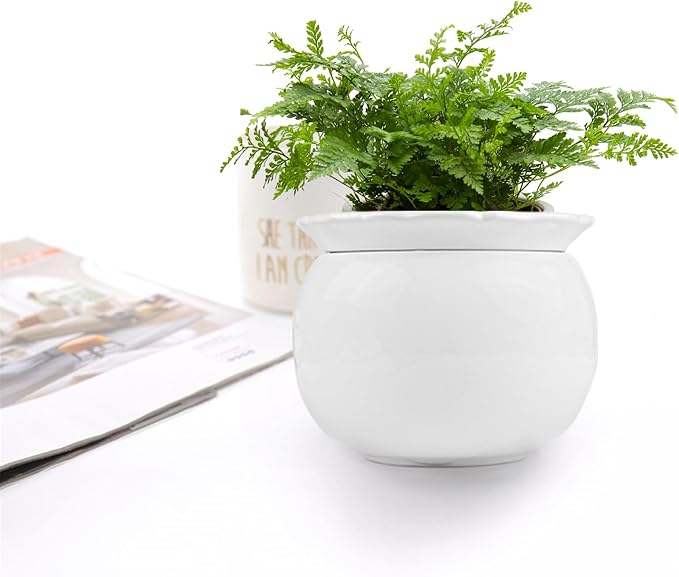 African Violet Pots, 6 inch Ceramic Easy Self Watering Plant Pot for Busy Plant Lovers, Automatically Absorb Appropriate Amount of Water, Flower Pot Indoor-Plants Not Included