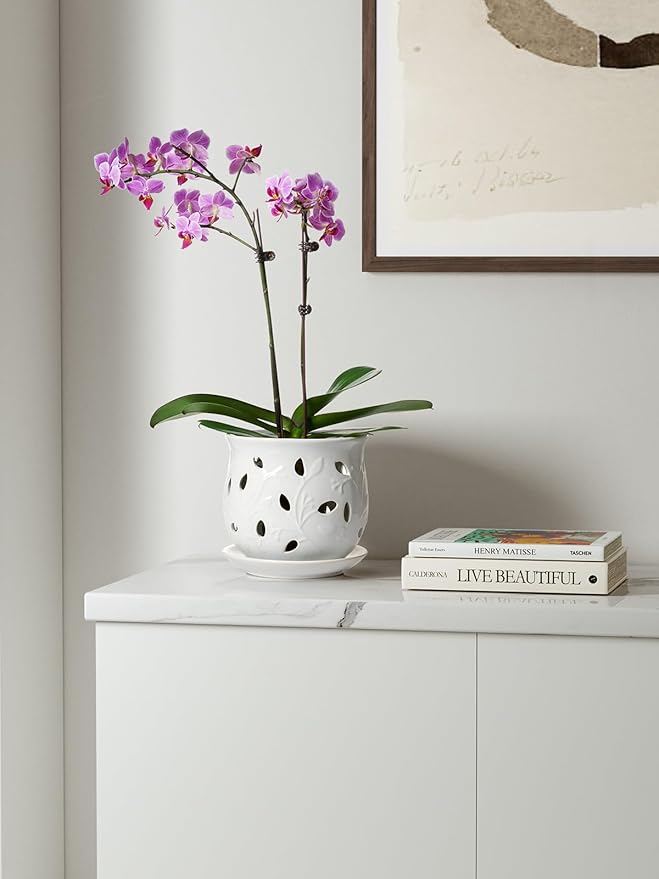 LE TAUCI Ceramic Orchid Pot, 6.5 Inch Orchid Pots with Holes, Orchid Planter for Repotting, Indoor Flower Plant Pot with Drainage and Saucer, White