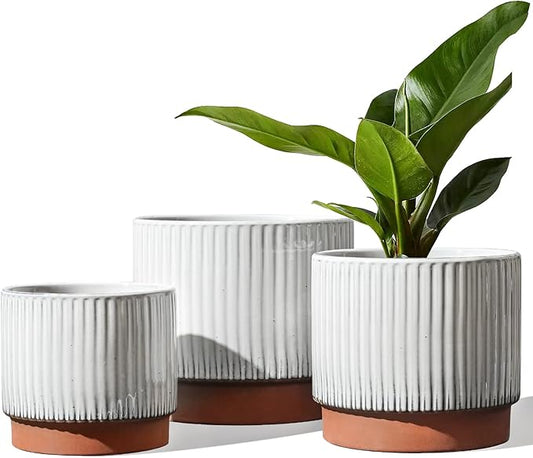 LE TAUCI Ceramic Pots for Plants, 8+6.7+5.5 Inch Plant Pots Indoor, Flower Pot with Drainage Holes, Medium Cylinder Planters for Indoor House Plants, Set of 3, Reactive Glaze White